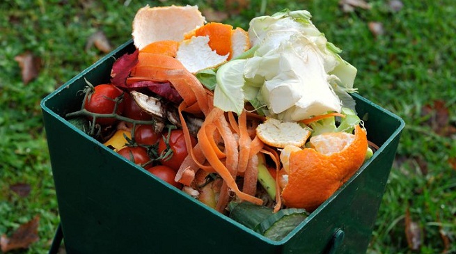 CÃ¡scaras de frutas y verduras